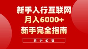 互联网新手月入6000+完全指南 十年创业老兵用心之作，帮助小白快速入门-星河网创