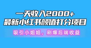 一天收入2000+,最新小红书颜值打分项目,吸引小姐姐,刷爆后端收益-星河网创