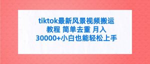 tiktok最新风景视频搬运教程 简单去重 月入30000+附全套工具-星河网创