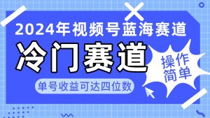 2024视频号冷门蓝海赛道,操作简单 单号收益可达四位数(教程+素材+工具)-星河网创