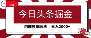 今日头条掘金，30秒一篇文章，内部独家玩法，日入2000+-星河网创