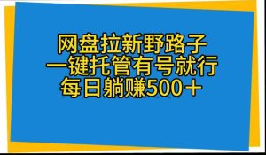 网盘拉新野路子，一键托管有号就行，全自动代发视频，每日躺赚500＋-星河网创