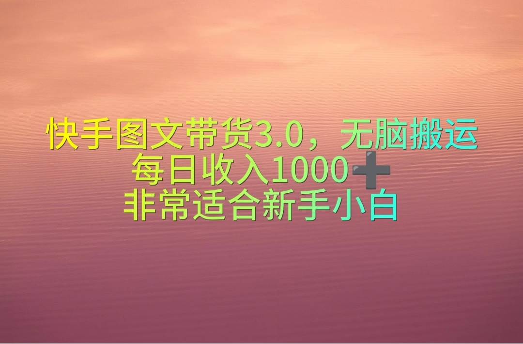 快手图文带货3.0，无脑搬运，每日收入1000＋，非常适合新手小白-星河网创