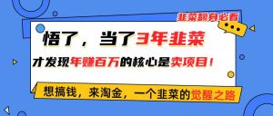 悟了，当了3年韭菜，才发现网赚圈年赚100万的核心是卖项目，含泪分享！-星河网创