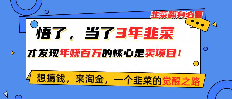 悟了，当了3年韭菜，才发现网赚圈年赚100万的核心是卖项目，含泪分享！-星河网创
