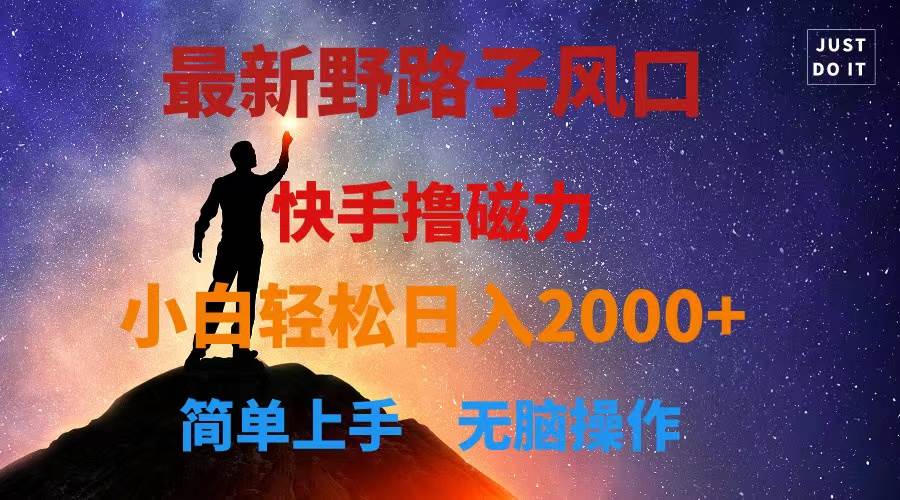 最新风口!快手撸磁力,野路子,小白无脑操作日入2000+-星河网创