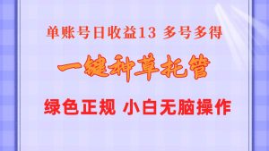 一键种草托管 单账号日收益13元  10个账号一天130  绿色稳定 可无限推广-星河网创