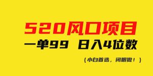 520风口项目一单99 日入4位数(小白首选，闭眼做！)-星河网创