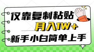 仅靠复制粘贴，被动收益，轻松月入1w+，新手小白秒上手，互联网风口项目-星河网创