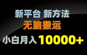 新平台新方法，无脑搬运，月赚10000+，小白轻松上手不动脑-星河网创