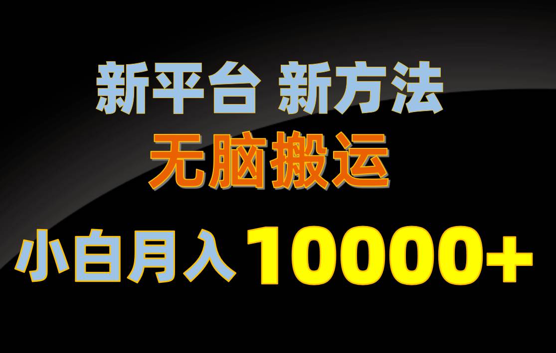 新平台新方法，无脑搬运，月赚10000+，小白轻松上手不动脑-星河网创