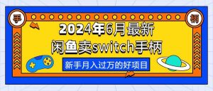 2024年6月最新闲鱼卖switch游戏手柄，新手月入过万的第一个好项目-星河网创