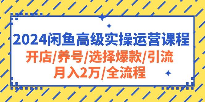 2024闲鱼高级实操运营课程:开店/养号/选择爆款/引流/月入2万/全流程-星河网创
