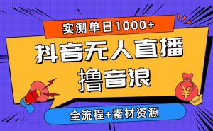 2024抖音无人直播撸音浪新玩法 日入1000+ 全流程+素材资源-星河网创