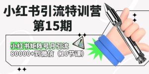 小红书引流特训营-第15期，小红书矩阵号月引流80000+到微信（10节课）-星河网创