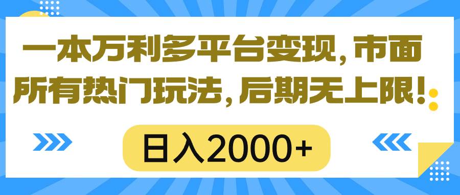一本万利多平台变现，市面所有热门玩法，日入2000+，后期无上限！-星河网创