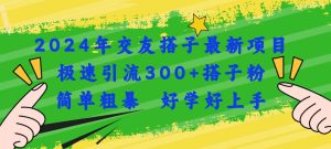 2024年交友搭子最新项目，极速引流300+搭子粉，简单粗暴，好学好上手-星河网创