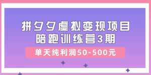 某收费培训《拼夕夕虚拟变现项目陪跑训练营3期》单天纯利润50-500元-星河网创