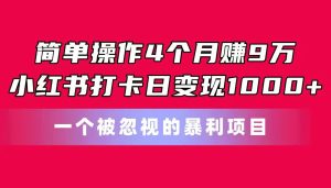 简单操作4个月赚9万!小红书打卡日变现1000+!一个被忽视的暴力项目-星河网创