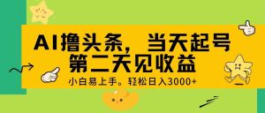 AI撸头条，轻松日入3000+，当天起号，第二天见收益。-星河网创