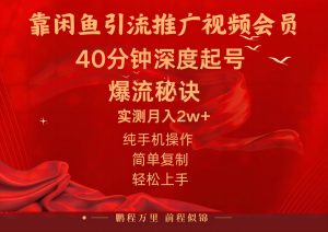 闲鱼暴力引流推广视频会员，能做到日入2W+，操作简单-星河网创