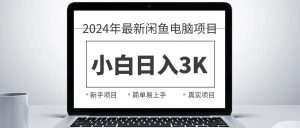 2024最新闲鱼卖电脑项目，新手小白日入3K+，最真实的项目教学-星河网创