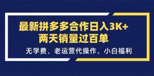 最新拼多多合作日入3K+两天销量过百单，无学费、老运营代操作、小白福利-星河网创