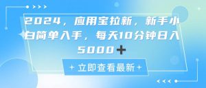 2024应用宝拉新，真正的蓝海项目，每天动动手指，日入5000+-星河网创