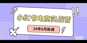 小红书电商实战营：小红书笔记带货和无人直播，24年6月新课-星河网创