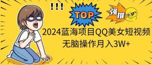 2024蓝海项目QQ美女短视频无脑操作月入3W+-星河网创