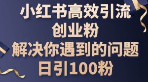 小红书高效引流创业粉，解决你遇到的问题，日引100粉-星河网创