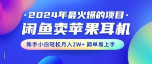 2024年最火爆的项目,闲鱼卖苹果耳机,新手小白轻松月入2W+简单易上手-星河网创