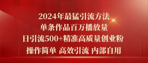 2024年最猛暴力引流方法，单条作品百万播放 单日引流500+高质量精准创业粉-星河网创