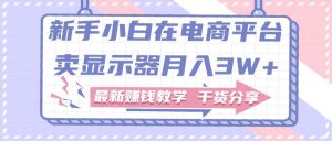 新手小白如何做到在电商平台卖显示器月入3W+，最新赚钱教学干货分享-星河网创
