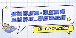 拼多多虚拟-引流技术与私域变现_拼多多教程:开一家月入2w店铺-星河网创