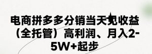 最新拼多多模式日入4K+两天销量过百单，无学费、 老运营代操作、小白福…-星河网创