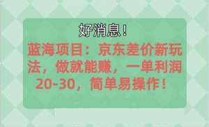 越早知道越能赚到钱的蓝海项目：京东大平台操作，一单利润20-30，简单…-星河网创