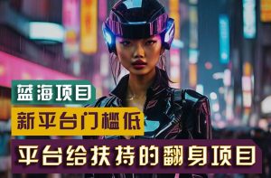 【蓝海项目】新平台无脑搬运，翻身项目 门槛低 小白也能轻松上手 日入500+-星河网创