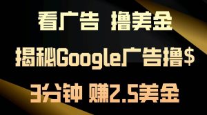 看广告，撸美金！3分钟赚2.5美金！日入200美金不是梦！揭秘Google广告…-星河网创