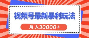 视频号最新暴利玩法，轻松月入30000+-星河网创