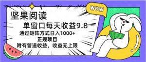 坚果阅读单窗口每天收益9.8通过矩阵方式日入1000+正规项目附有管道收益…-星河网创