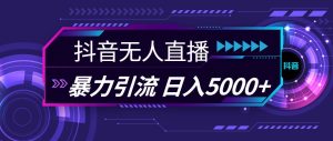 抖音无人直播，暴利引流，日入5000+-星河网创