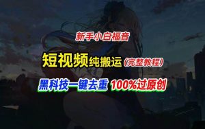 中视频计划纯搬运，黑科技一键去重过原创，新手小白福音，轻松日入大几百-星河网创
