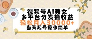 视频号AI美女，轻松月入30000+,操作简单轻松上手-星河网创