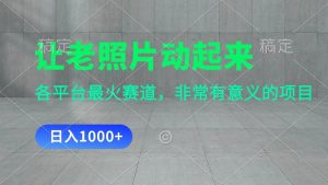 让老照片动起来，一天变现1000+，各平台最火赛道，看完就会-星河网创