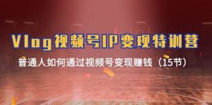 Vlog 视频号IP变现特训营，普通人如何通过视频号变现赚钱（15节）-星河网创