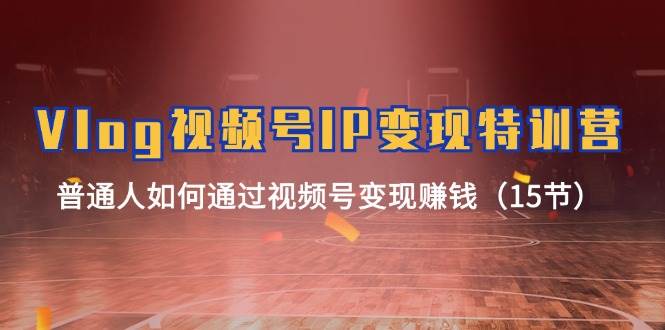 Vlog 视频号IP变现特训营，普通人如何通过视频号变现赚钱（15节）-星河网创