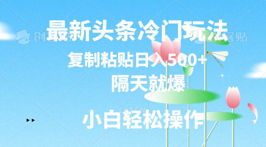 最新头条冷门玩法，隔天就爆，复制粘贴日入500+-星河网创