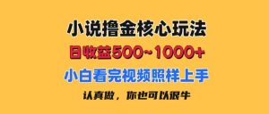 小说撸金核心玩法，日收益500-1000+，小白看完照样上手，0成本有手就行-星河网创