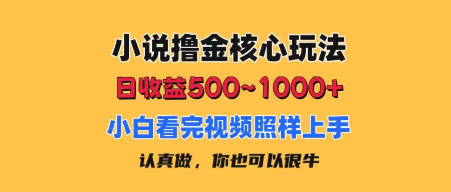 小说撸金核心玩法，日收益500-1000+，小白看完照样上手，0成本有手就行-星河网创